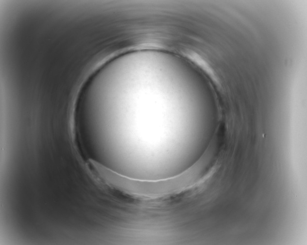 X0000088421469200706051203