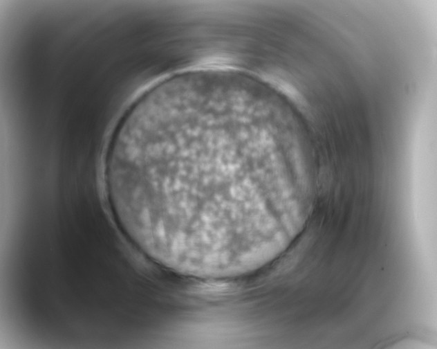 X0000088421470200706051203