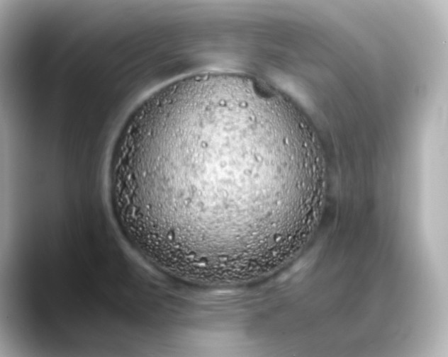 X0000088421471200706051203