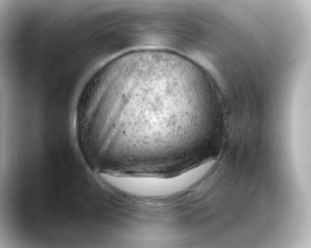X0000088421472200706051203