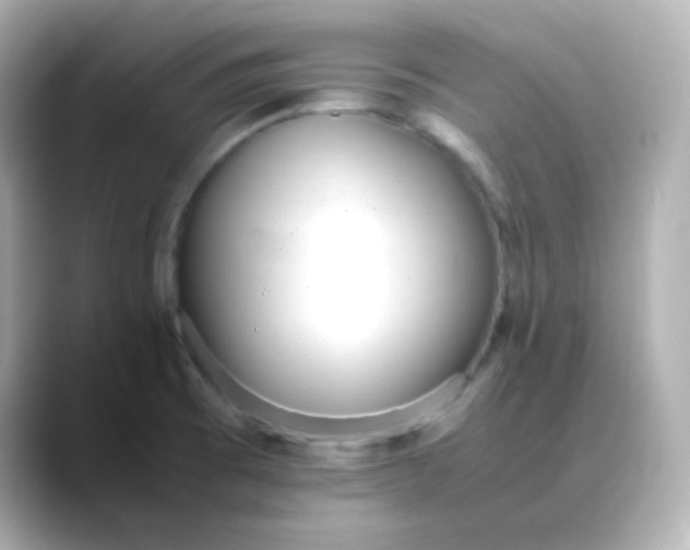 X0000088421473200706051203