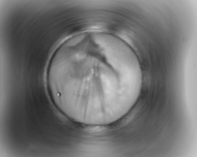 X0000088421474200706051203