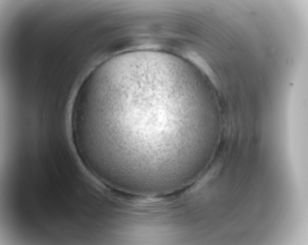 X0000088421475200706051203