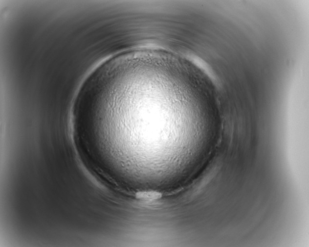 X0000088421476200706051203