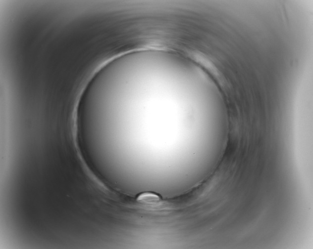 X0000088421479200706051203