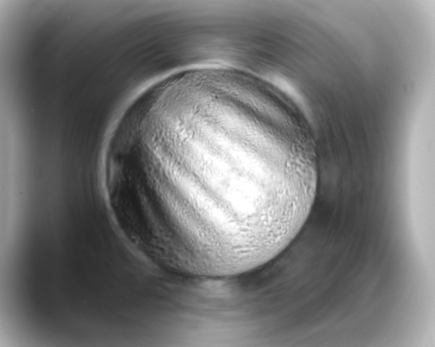 X0000088421480200706051203