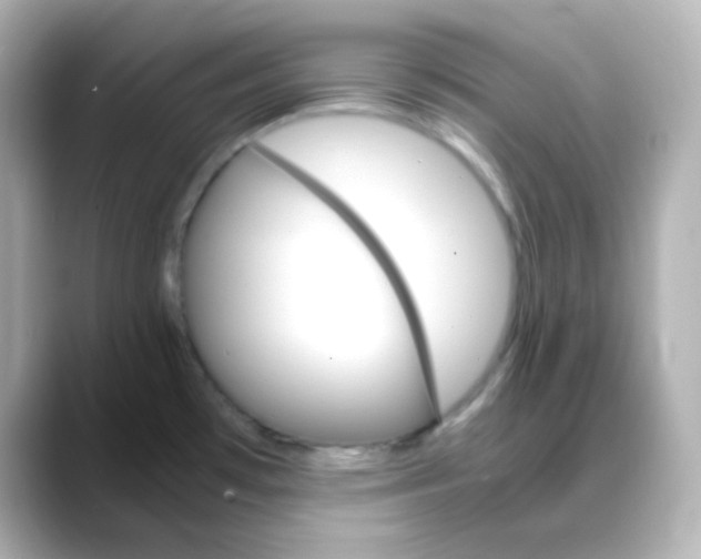 X0000088421481200706051203