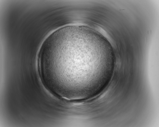 X0000088421484200706051202
