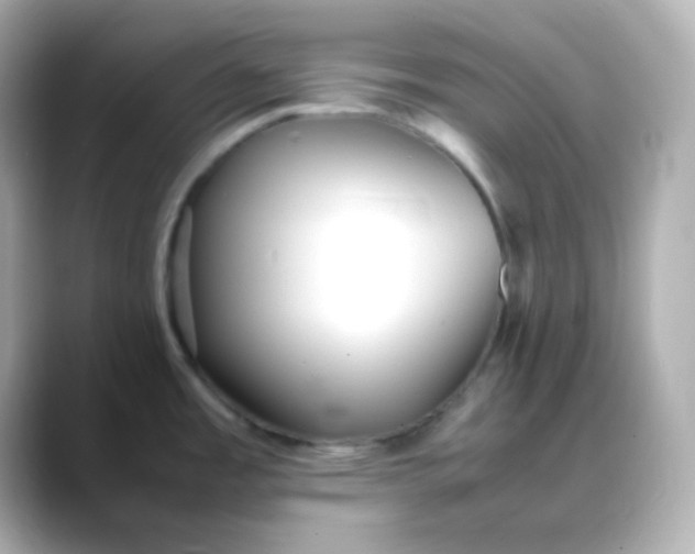 X0000088421485200706051202