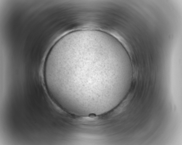 X0000088421486200706051202