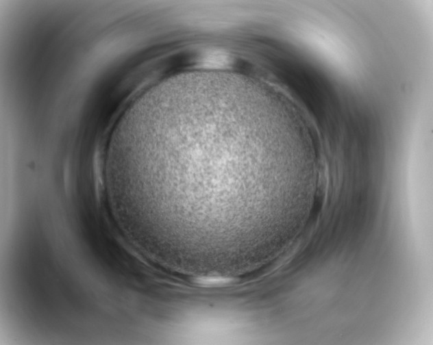X0000088421487200706051202