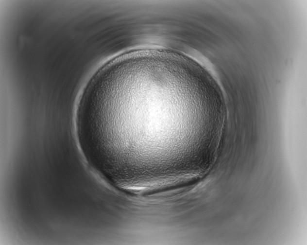 X0000088421488200706051202