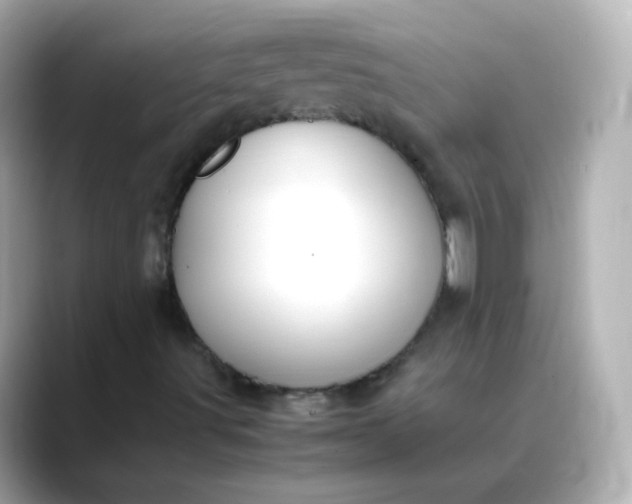X0000088421491200706051202