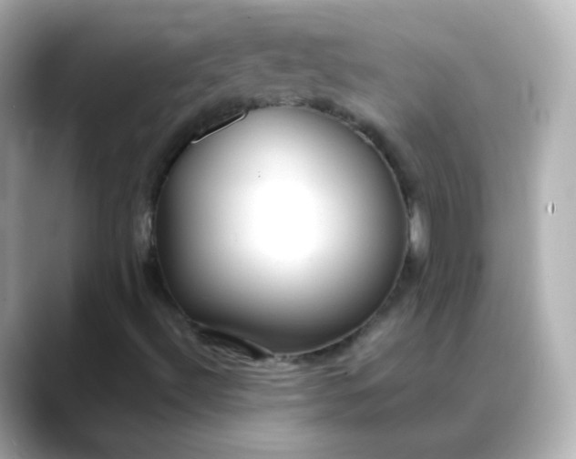 X0000088421492200706051202