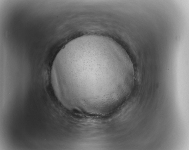 X0000088421493200706051202