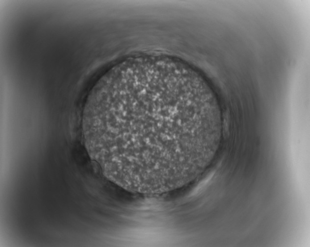 X0000088421494200706051202