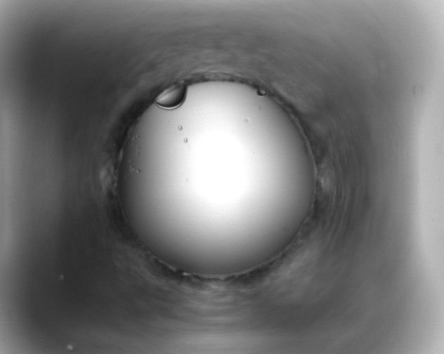 X0000088421495200706051202
