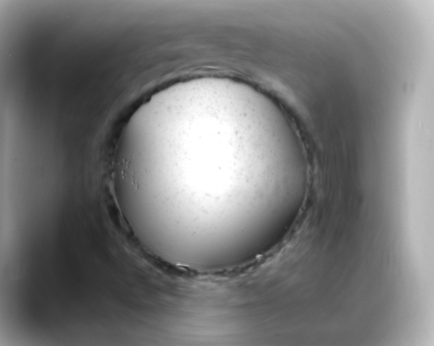 X0000088421496200706051202