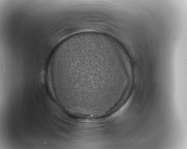 X0000088421497200706051202