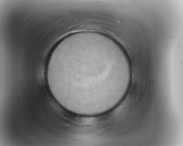 X0000088421498200706051202
