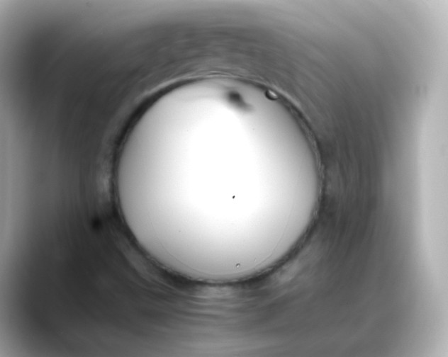 X0000088421499200706051202
