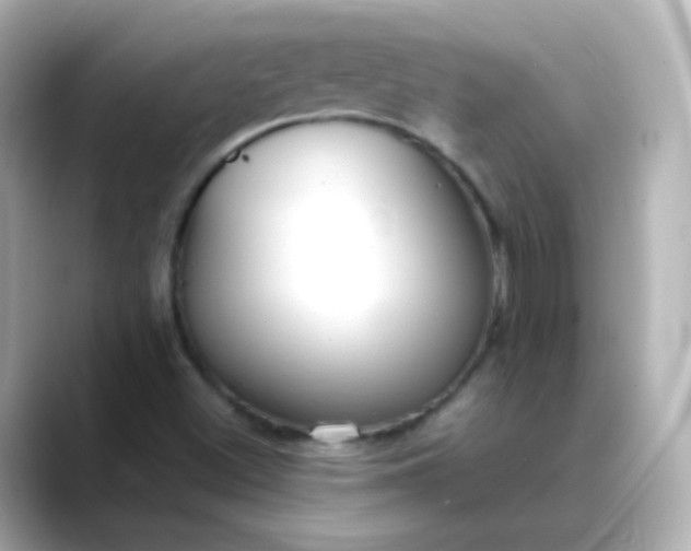 X0000088421500200706051202
