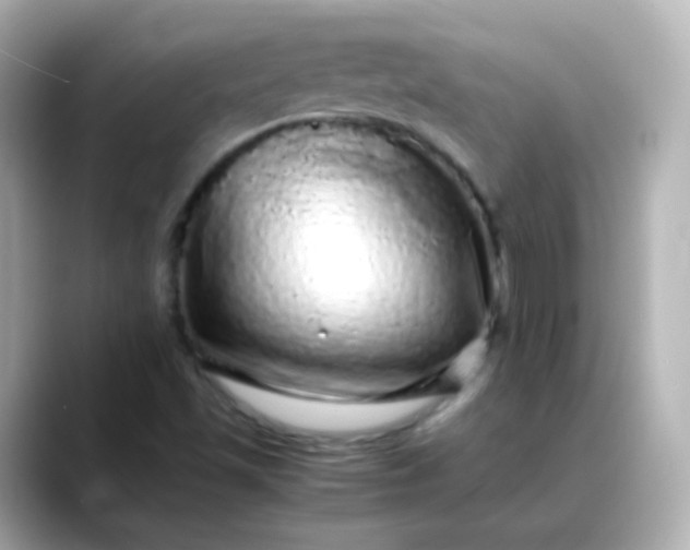 X0000088421501200706051202