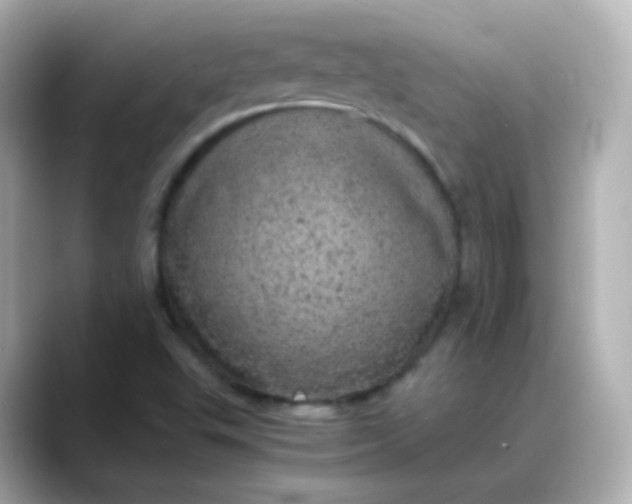X0000088421503200706051202