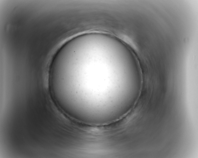 X0000088421504200706051202