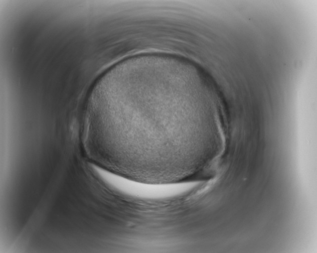 X0000088421505200706051202