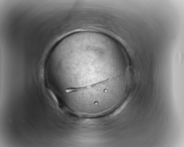 X0000088421506200706051202