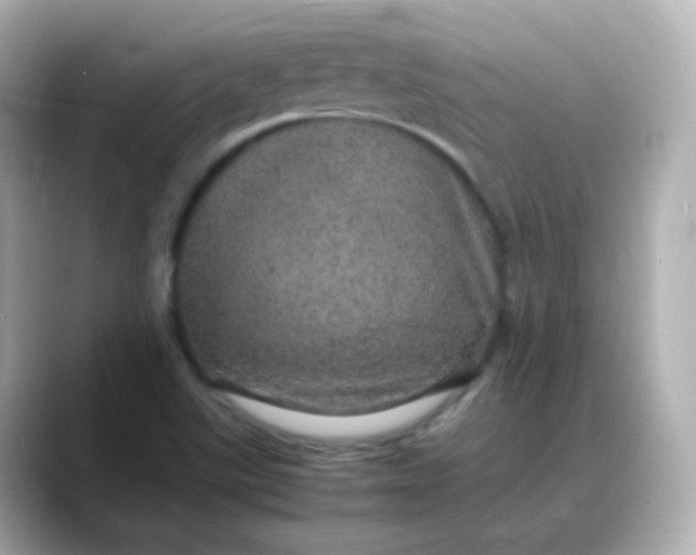X0000088421507200706051202