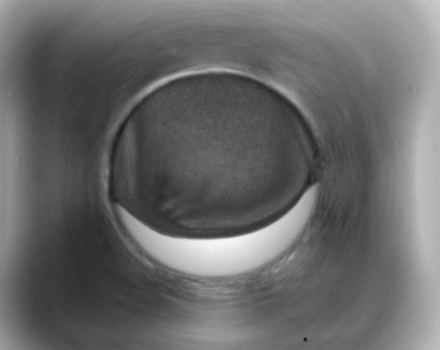 X0000088421508200706051202