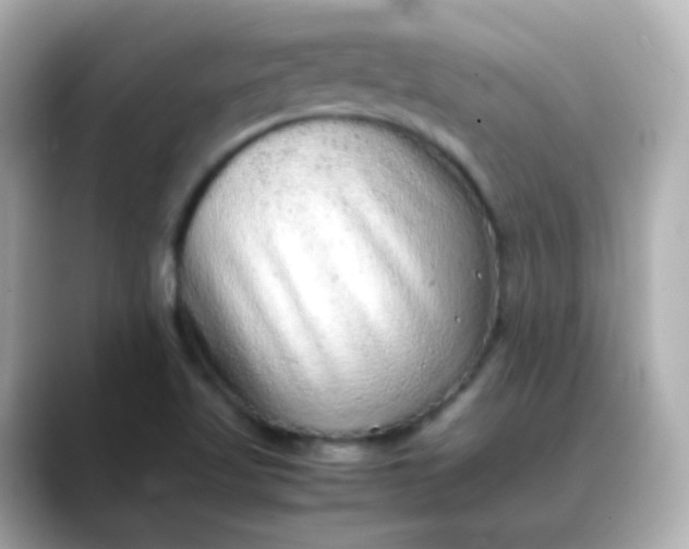X0000088421509200706051202