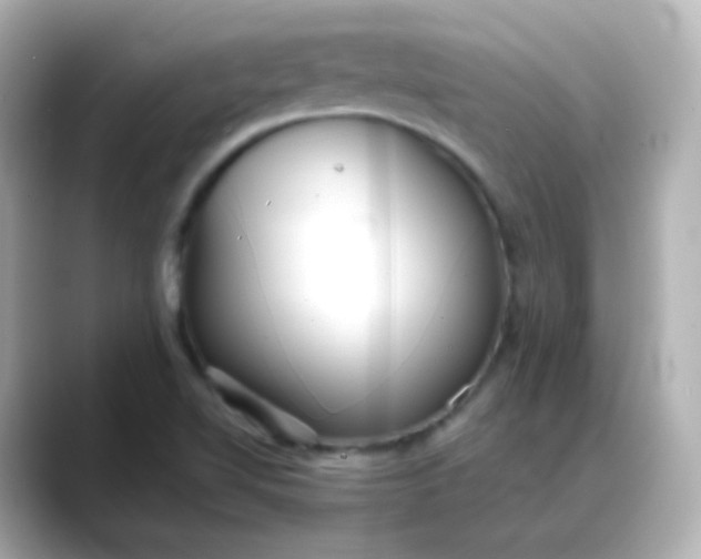 X0000088421510200706051202