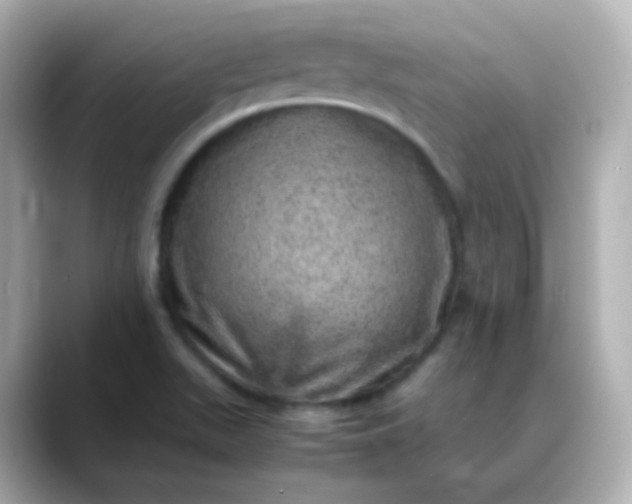 X0000088421511200706051202