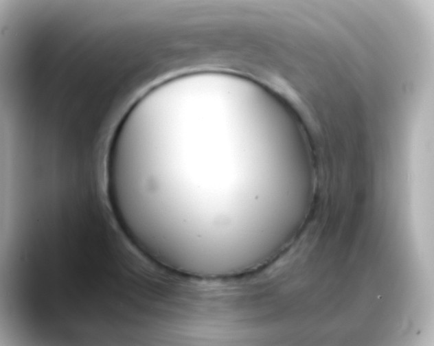 X0000088421512200706051202