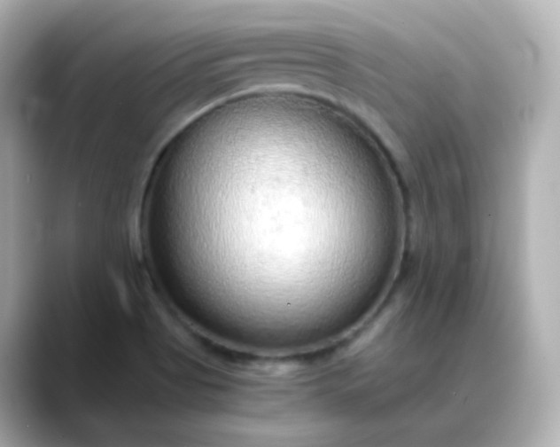 X0000088421513200706051202