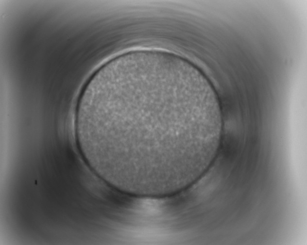 X0000088421514200706051202