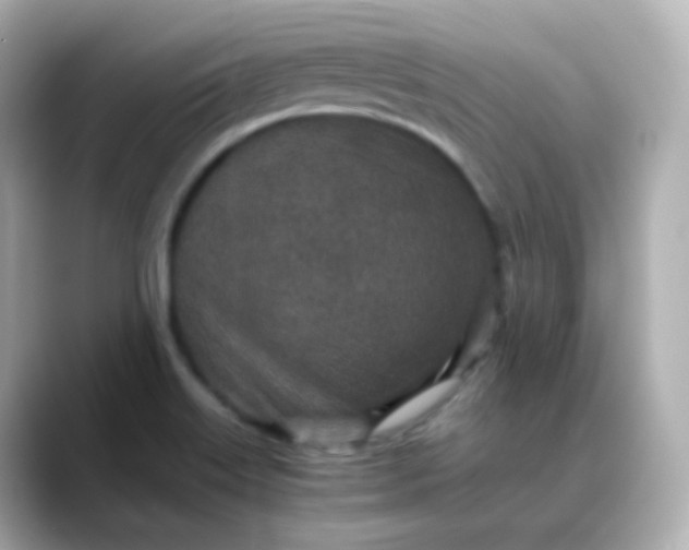 X0000088421515200706051202