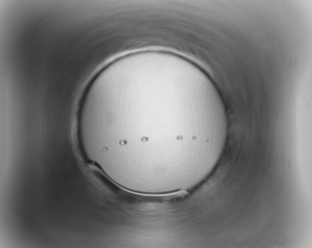 X0000088421518200706051202