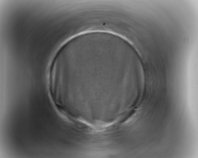X0000088421519200706051202