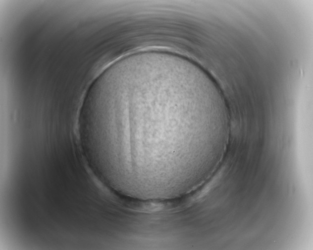 X0000088421521200706051202