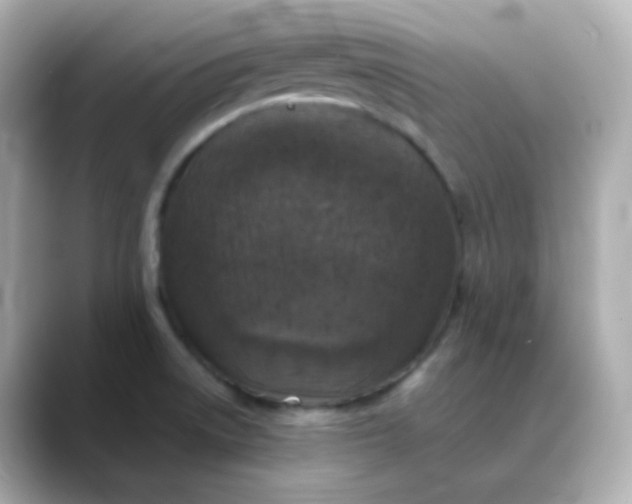 X0000088421522200706051202