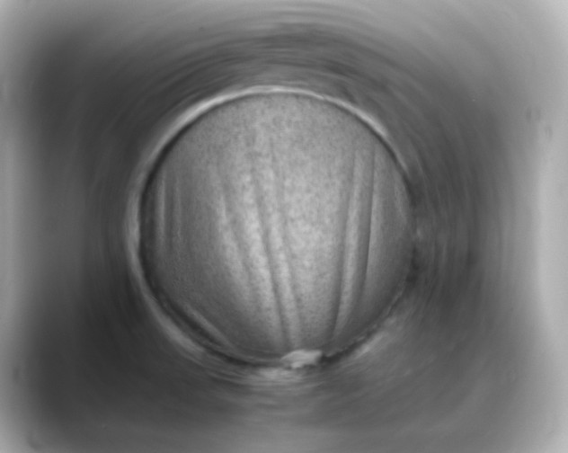 X0000088421523200706051202
