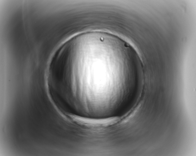 X0000088421525200706051202