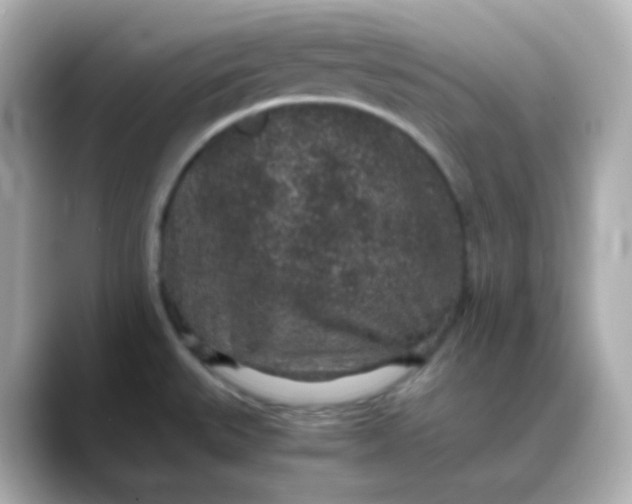 X0000088421527200706051202