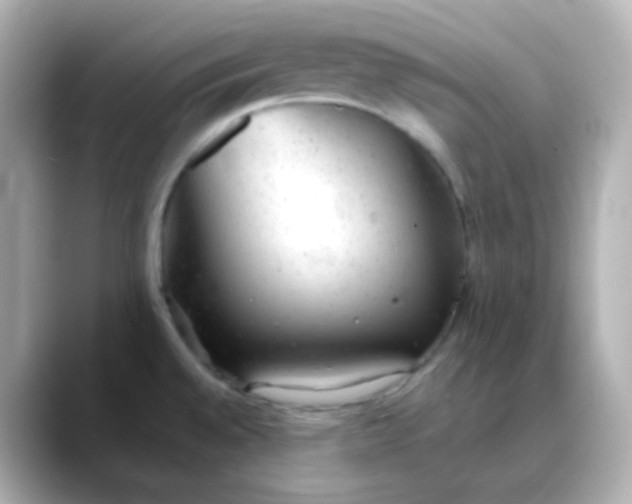 X0000088421528200706051202