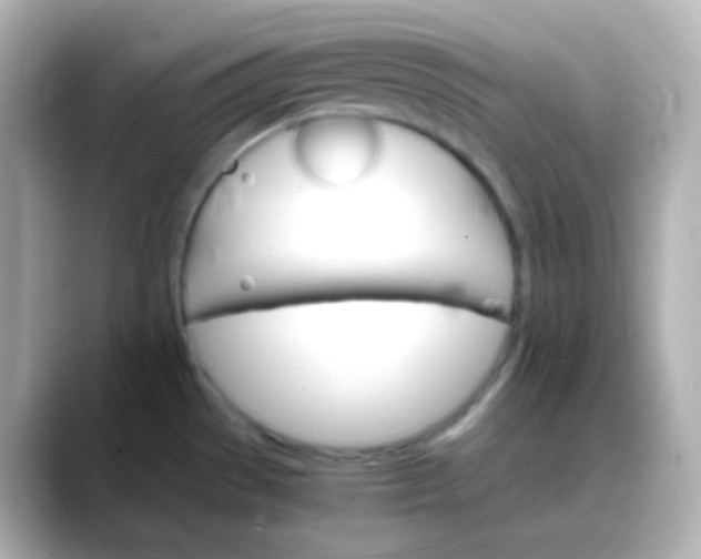 X0000088421529200706051202