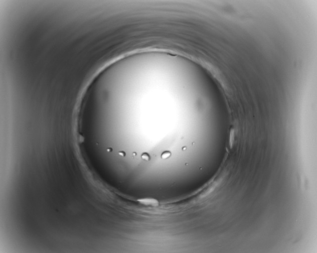 X0000088421530200706051202